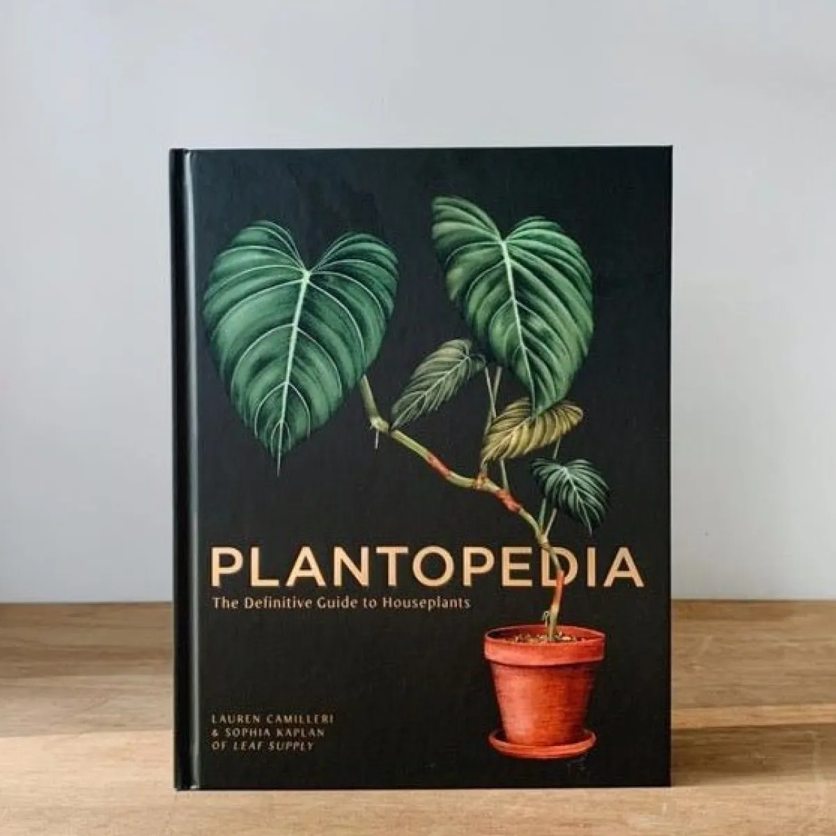 Best Betsy & Iya Plantopedia - The Definitive Guide to Houseplants
