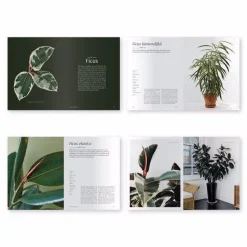 Best Betsy & Iya Plantopedia - The Definitive Guide to Houseplants
