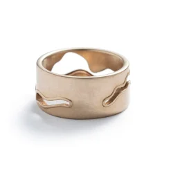 Fashion Betsy & Iya Recast Willamette ring